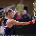 Magdalena Rybarikova Fed Cup 2015 2008