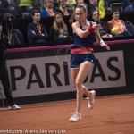 Magdalena Rybarikova Fed Cup 2015 2014