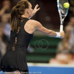 Agnieszka Radwanska Katowice 2015 2142
