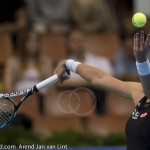 Agnieszka Radwanska Katowice 2015 9113