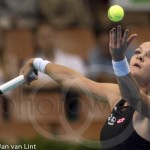 Agnieszka Radwanska Katowice 2015 9113a