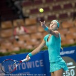 Anna Karolina Schmiedlova Katowice 2015 1426