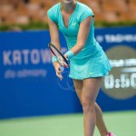 Anna Karolina Schmiedlova Katowice 2015 1428