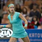 Anna Karolina Schmiedlova Katowice 2015 2716