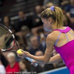 Camila Giorgi finale Katowice 2015 4952
