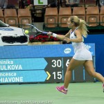 Dominika Cibulkova Katowice 2016 1368