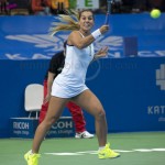 Dominika Cibulkova Katowice 2016 2534