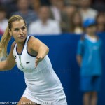 Dominika Cibulkova Katowice 2016 3411