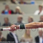 Goran Ivanisevic Afas 2016 vs Ferrero 1205aa
