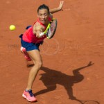 Francesca Schiavone RG 2017 8995