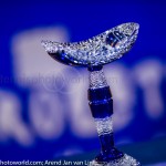 Awards doubles Umag 2017 2887