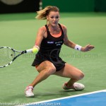 Agnieszka Radwanska Katowice 2014 6993