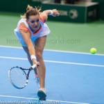 Agnieszka Radwanska Katowice 2014 7869